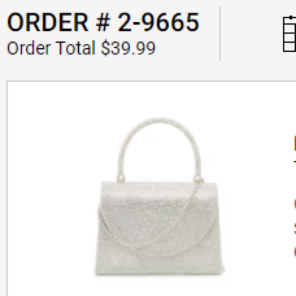 Sequin bag